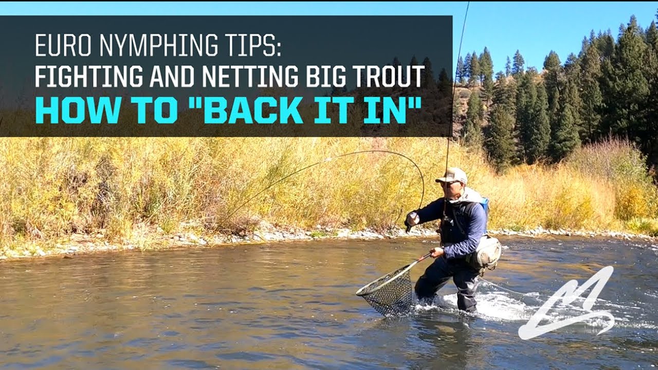 Euro Nymph TIP: "Backing In" a Big Trout