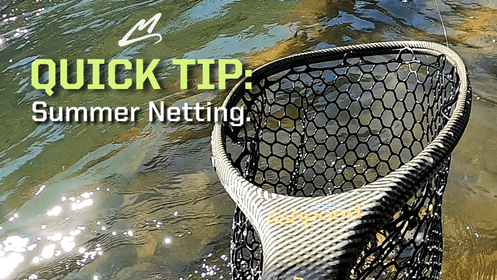 Summer Netting Trout