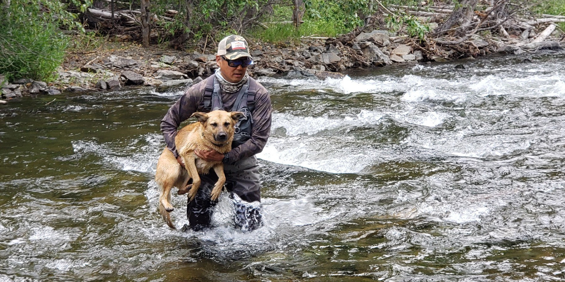 Fishing With Your Dog- Is It Worth Your Trouble?