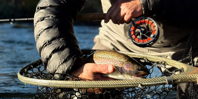 MAVRK Fly Fishing Precision Trout Systems