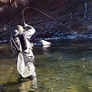 The Dual rod is nimble enough to cast small nymph flies, yet powerful enough to fight big trout in the 22-inch range.