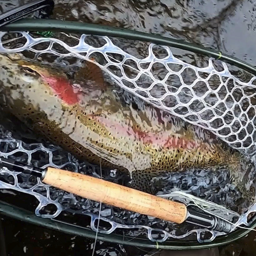 Greg 18 in Bow Hirschdale with Stinger M1